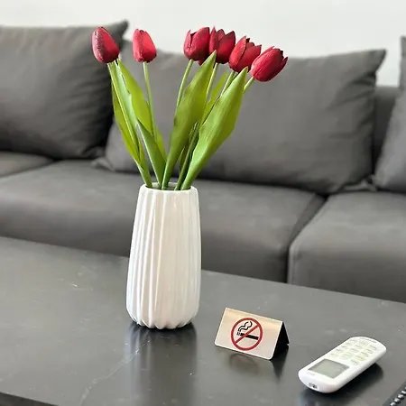 Apartment 446 Luxury Center Shkoder
